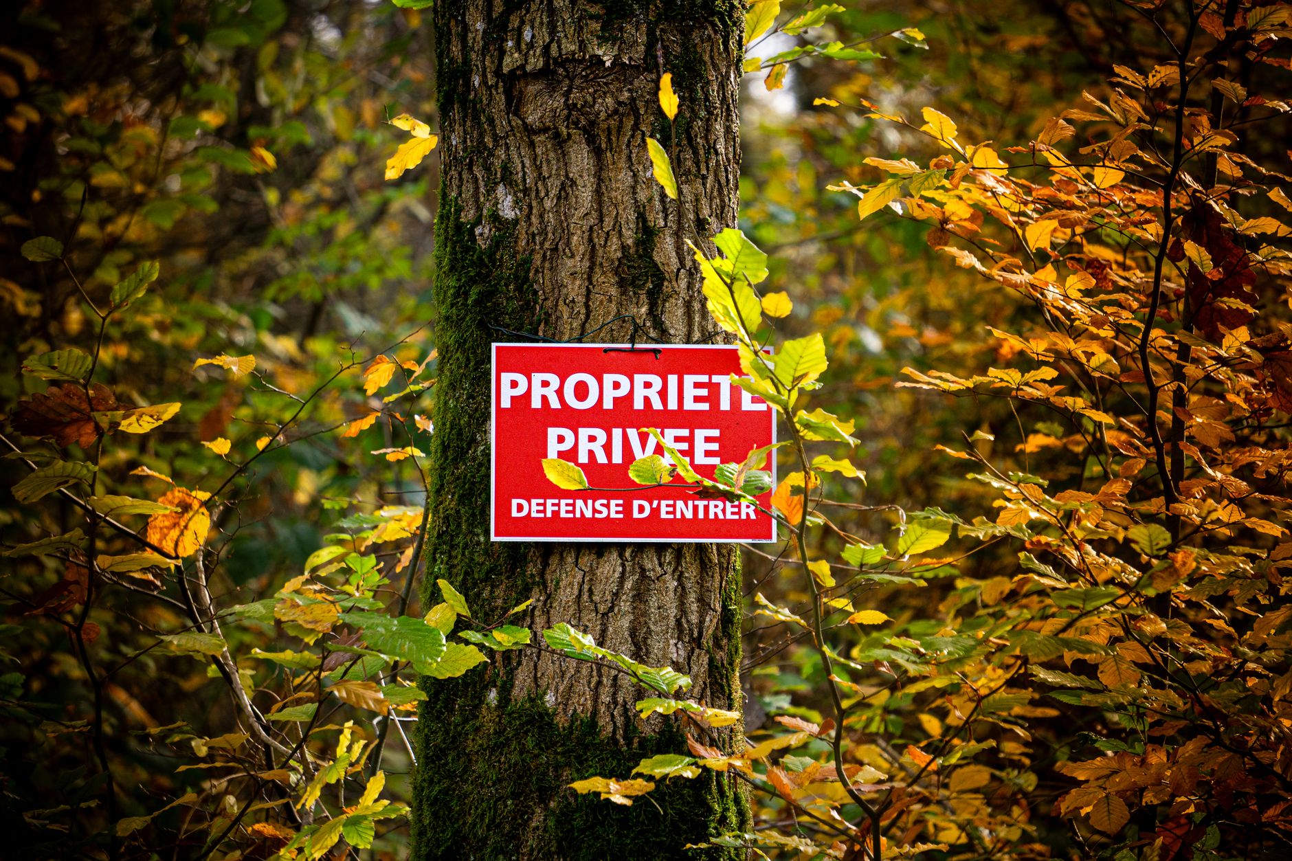 Détective privé à Corbeil-Essonnes